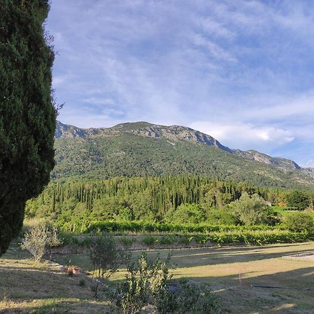 Country House Uros In Nature With Pool Lovorno Buitenkant foto