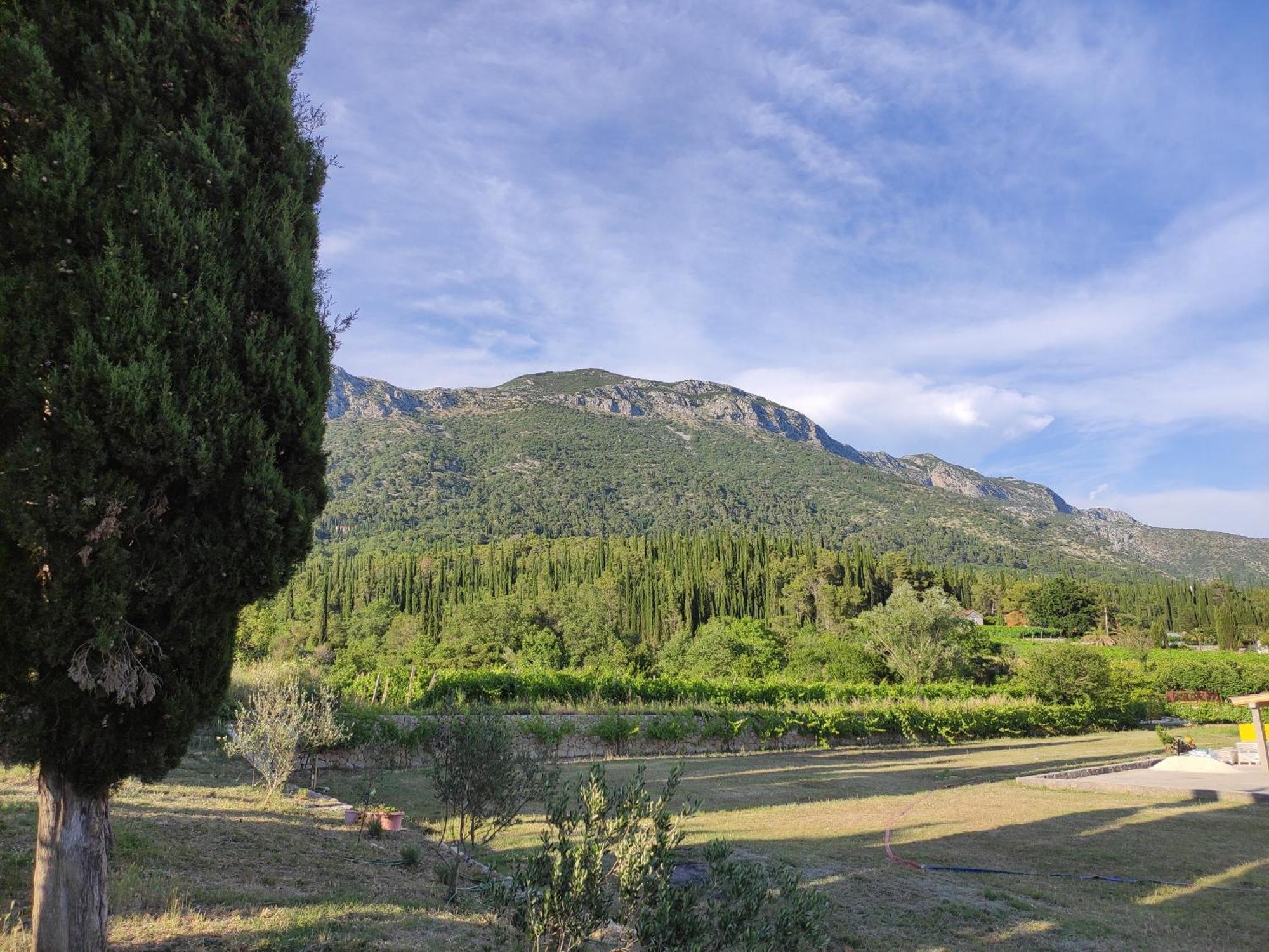 Country House Uros In Nature With Pool Lovorno Buitenkant foto